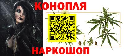 СК Тула