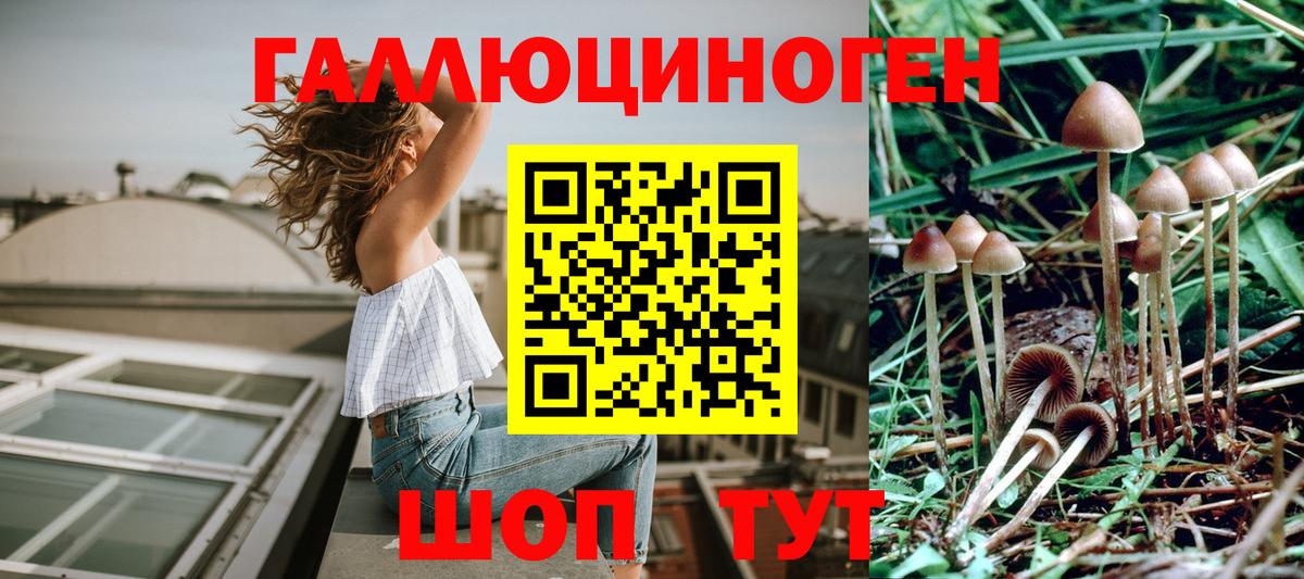Псилоцибиновые грибы ЛСД  Вход с VPN  Аргун 